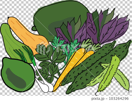 沖縄島野菜集合イラスト 103264296