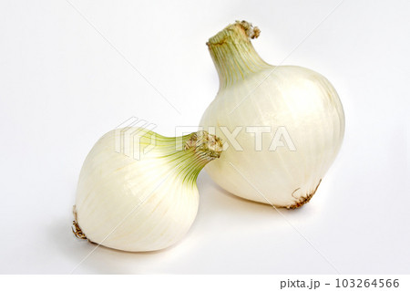 白玉ねぎ、辛味が少なくシャキシャキ食感のサラダオニオン 103264566