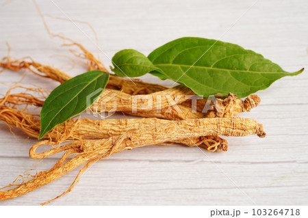 Ginseng roots and green leaf, healthy food. 103264718