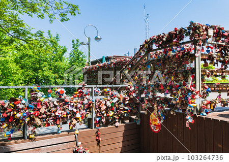 ソウル 南山公園 ソウル 南山公園 103264736