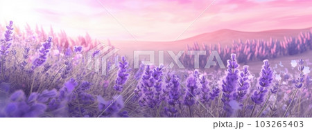 A banner design showcasing a field of lavender in full bloom, with soft purple hues and delicate petals, creating a soothing and aromatic atmosphere. Generative AI A banner design showcasing a field of lavender in full bloom, with soft purple hues and delicate petals, creating a soothing and aromatic atmosphere. Generative AI 103265403