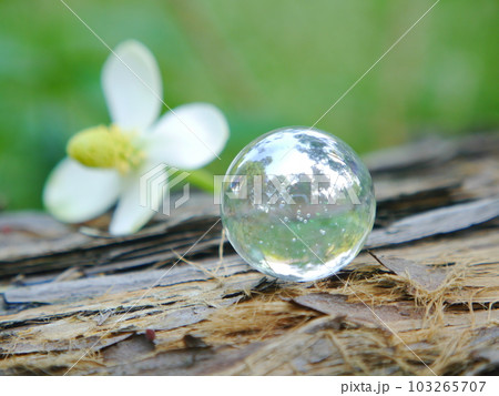 エコロジーイメージ　ビー玉 103265707