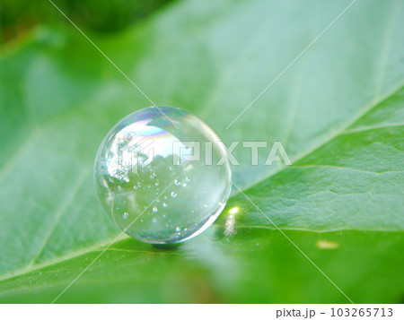 エコロジーイメージ　ビー玉 103265713