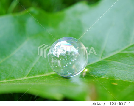 エコロジーイメージ　ビー玉 103265714