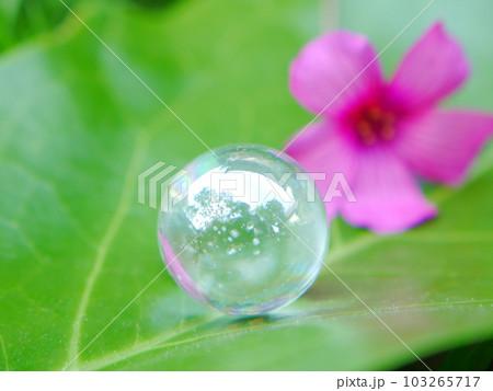 エコロジーイメージ　ビー玉 103265717