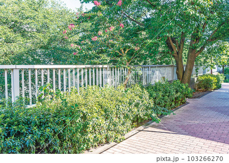 神田上水公園 神田上水公園 103266270