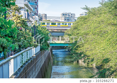 神田上水公園 103266271