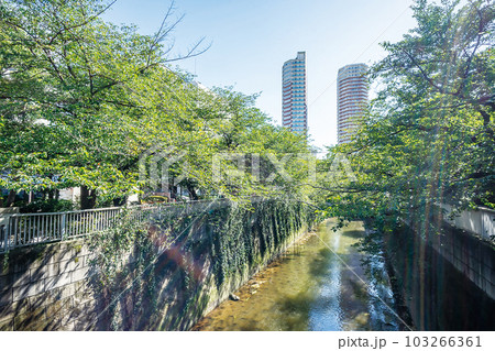 神田川四季の道 神田川四季の道 103266361