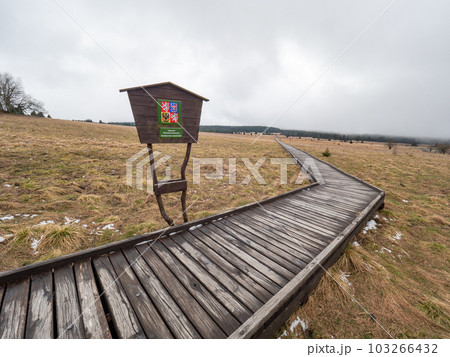 Wooden path in Bozi Dar peat bog nature reservation on sunny autumn day. Ore Mountains Wooden path in Bozi Dar peat bog nature reservation on sunny autumn day. Ore Mountains 103266432