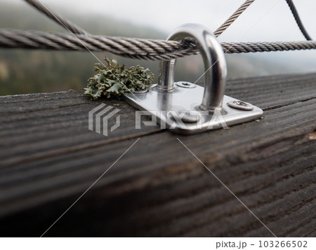 Screwed hook and tensioning joints on a modern wire fence Screwed hook and tensioning joints on a modern wire fence 103266502