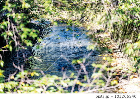 神田上水公園 103266540