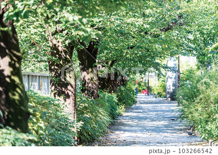 神田上水公園 103266542