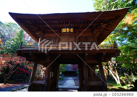 平林寺の山門 平林寺の山門 103266960