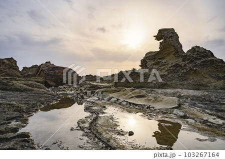 秋田　ゴジラ岩 103267164