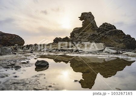 秋田　ゴジラ岩 103267165