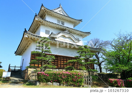 【香川県】葉桜とツツジ咲く春の丸亀城(現存天守と石垣の名城) 【香川県】葉桜とツツジ咲く春の丸亀城(現存天守と石垣の名城) 103267310