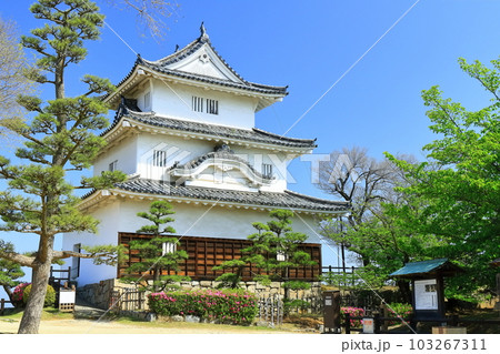 【香川県】葉桜とツツジ咲く春の丸亀城（現存天守と石垣の名城） 103267311