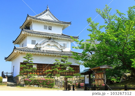 【香川県】葉桜とツツジ咲く春の丸亀城（現存天守と石垣の名城） 103267312