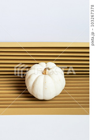 One tiny pumpkin. Autumnal minimalistic still life. One tiny pumpkin. Autumnal minimalistic still life. 103267378
