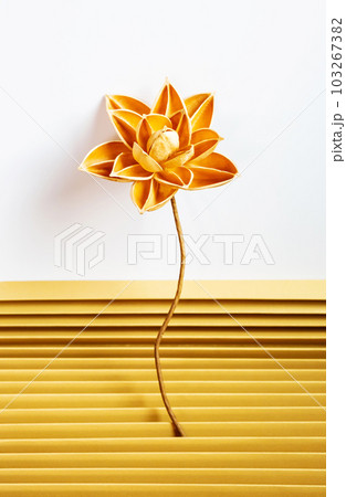 Dried lotus flower crafting from fruits shell. DIY home decorating. 103267382