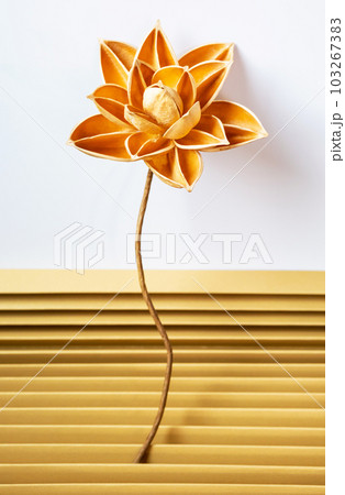 Dried lotus flower crafting from fruits shell. DIY home decorating. 103267383