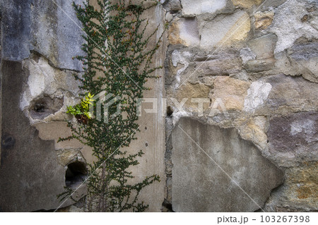 長崎県東彼杵郡にある遺跡 魚雷発射試験場跡 103267398