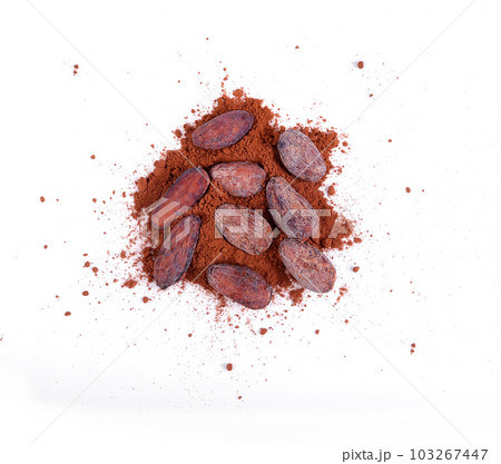 pile cocoa powder and beand isolated on white background. pile cocoa powder and beand isolated on white background. 103267447