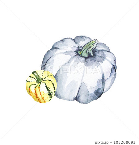 Pumpkin composition. Watercolor illustration of bright pumpkins. hand drawn illustration with vegetables 103268093
