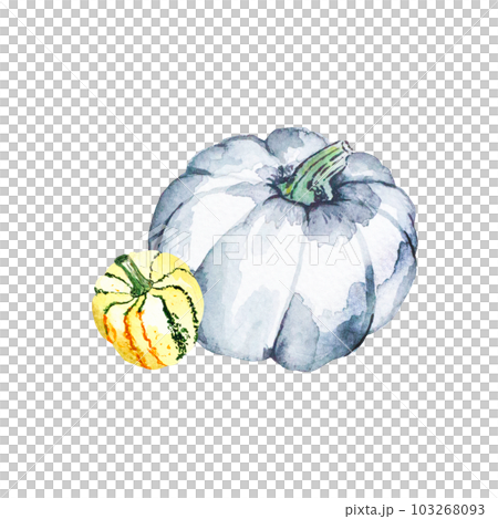Pumpkin composition. Watercolor illustration of bright pumpkins. hand drawn illustration with vegetables 103268093