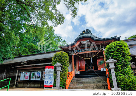 薩摩国一の宮　新田神社 103268219