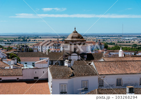 Cityscape of Evora with typical houses painted in white and ceramic tiled roofs Cityscape of Evora with typical houses painted in white and ceramic tiled roofs 103268294
