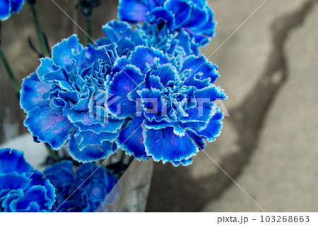A bouquet of flowers from the flower market A bouquet of flowers from the flower market 103268663