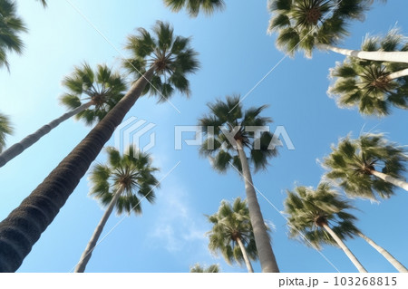 Palm trees against blue sky . Generative AI 103268815