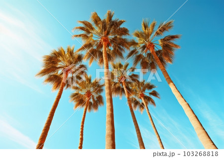 Palm trees against blue sky . Generative AI Palm trees against blue sky . Generative AI 103268818