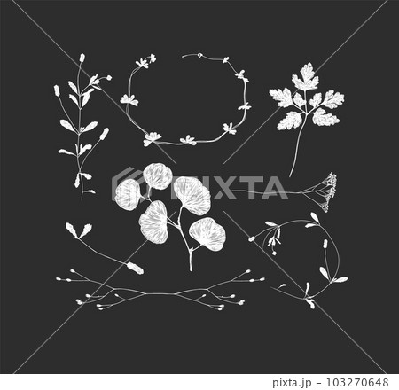 Branches and leaves silhouettes black 103270648