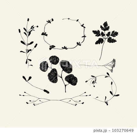 Branches and leaves silhouettes beige 103270649