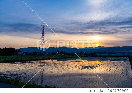 【初夏素材】初夏の安曇野・朝の田園風景【長野県】 【初夏素材】初夏の安曇野・朝の田園風景【長野県】 103270960