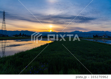 【初夏素材】初夏の安曇野・朝の田園風景【長野県】 【初夏素材】初夏の安曇野・朝の田園風景【長野県】 103270962