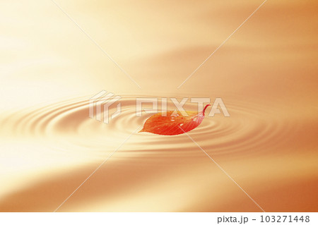 秋の水面に紅葉 秋の水面に紅葉 103271448
