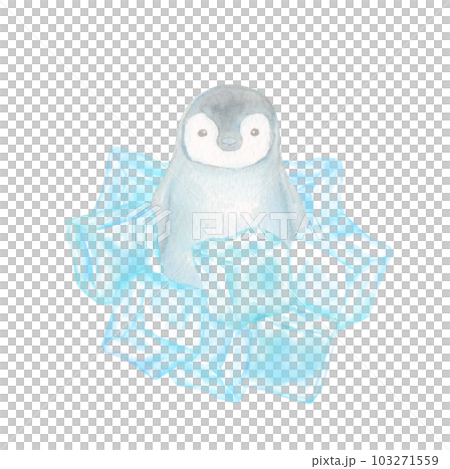 Icon of a cute penguin inside an ice cube. Icon of a cute penguin inside an ice cube. 103271559