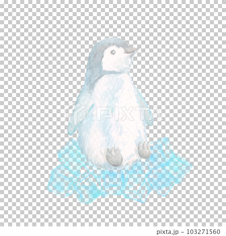 A cute penguin icon standing on an ice cube. A cute penguin icon standing on an ice cube. 103271560