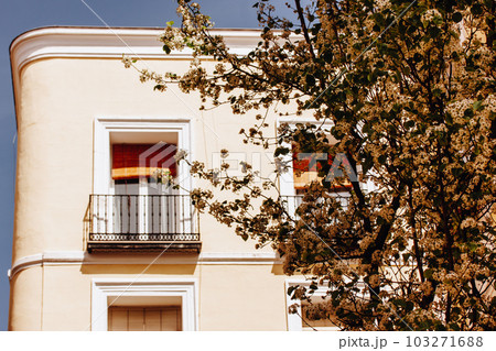 The beige exterior of an old house on a European street against blossoming tree branches. Mediterranean architecture on a European street in sunny day. Travel to Madrid, Spain. Vintage balcony, window The beige exterior of an old house on a European street against blossoming tree branches. Mediterranean architecture on a European street in sunny day. Travel to Madrid, Spain. Vintage balcony, window 103271688