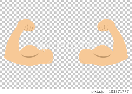 肌肉力量肌肉訓練猛男二頭肌的插圖 103271777