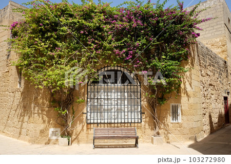 マルタ共和国の街角のベンチとピンクの花 103272980