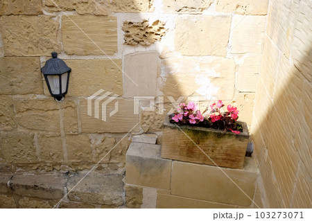 マルタ共和国 ゴゾ島の花のある路地 マルタ共和国 ゴゾ島の花のある路地 103273071