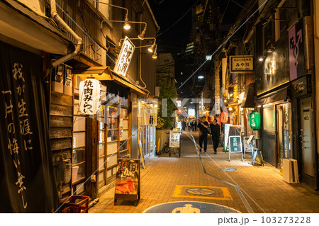 《東京都》賑わう路地裏飲み屋街・慶応仲通り商店街 103273228
