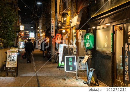 《東京都》賑わう路地裏飲み屋街・慶応仲通り商店街 103273233