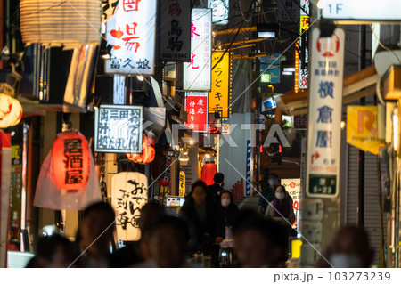 《東京都》賑わう路地裏飲み屋街・慶応仲通り商店街 103273239