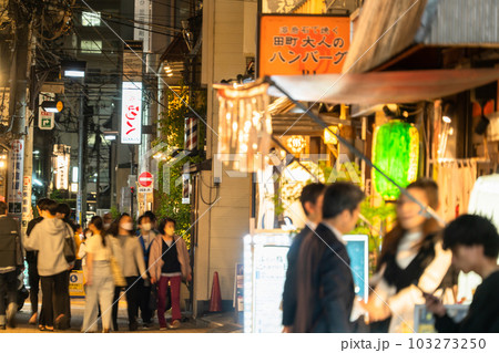 《東京都》賑わう路地裏飲み屋街・慶応仲通り商店街 103273250