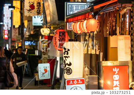 《東京都》賑わう路地裏飲み屋街・慶応仲通り商店街 103273251